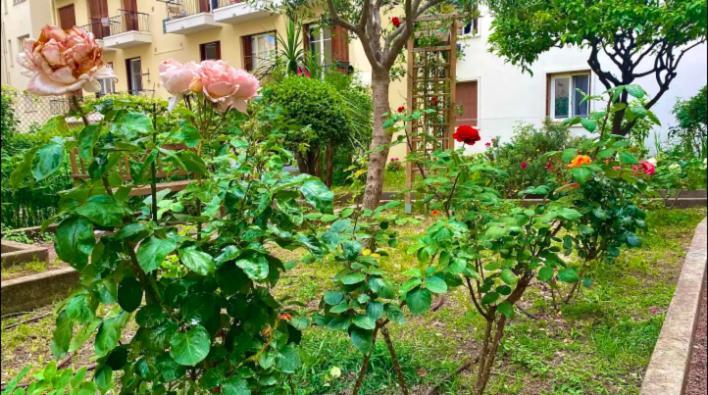 Apartamento L'Avenir Du Ray Niza Exterior foto