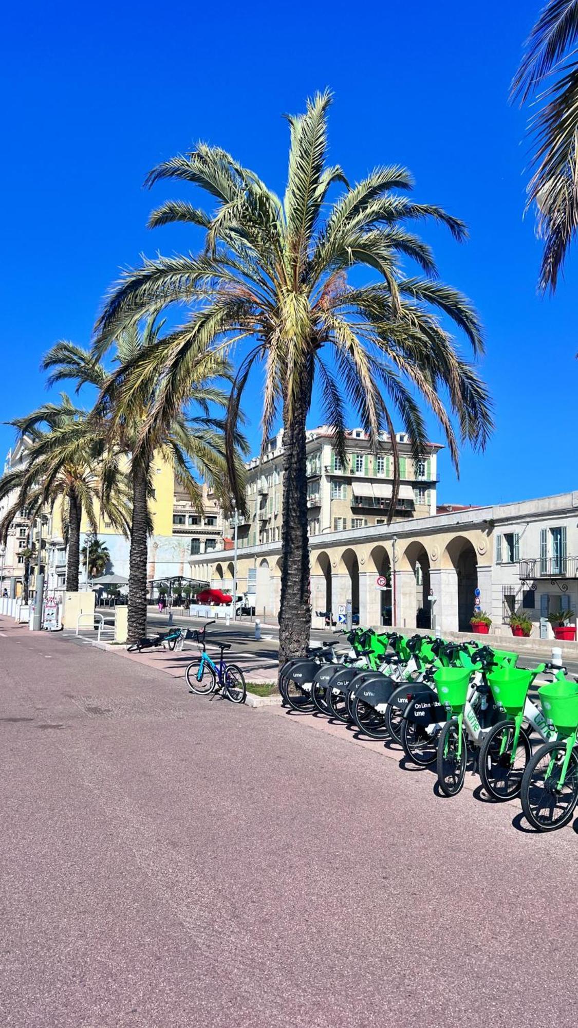 Apartamento L'Avenir Du Ray Niza Exterior foto